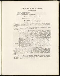 Odontites vernus subsp. vernus