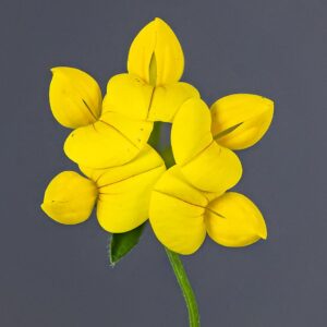 Lotus preslii
