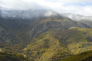 Geranium dolomiticum